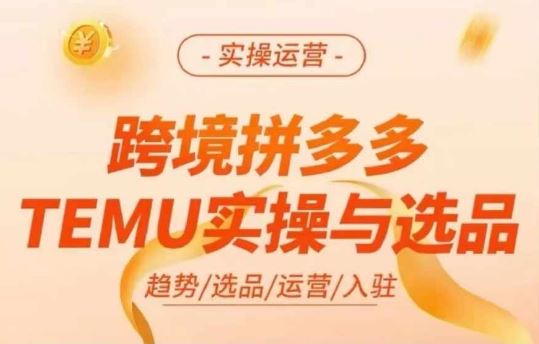 跨境拼多多TEMU实操与选品，多多temu跨境选品运营实操-追梦聊项目