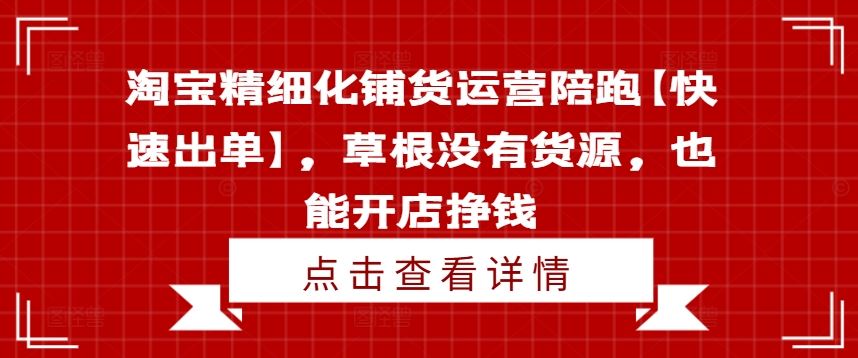 淘宝精细化铺货运营陪跑【快速出单】，草根没有货源，也能开店挣钱-追梦聊项目
