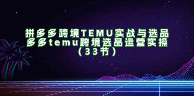 拼多多跨境TEMU实战与选品，多多temu跨境选品运营实操（33节）-追梦聊项目