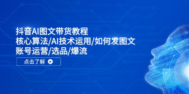 抖音AI图文带货教程：核心算法/AI技术运用/如何发图文/账号运营/选品/爆流-追梦聊项目