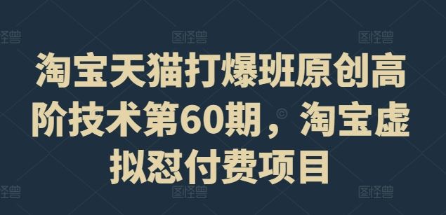 淘宝天猫打爆班原创高阶技术第60期，淘宝虚拟怼付费项目-追梦聊项目