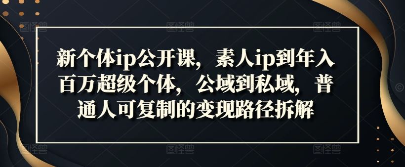 新个体ip公开课，素人ip到年入百万超级个体，公域到私域，普通人可复制的变现路径拆解-追梦聊项目