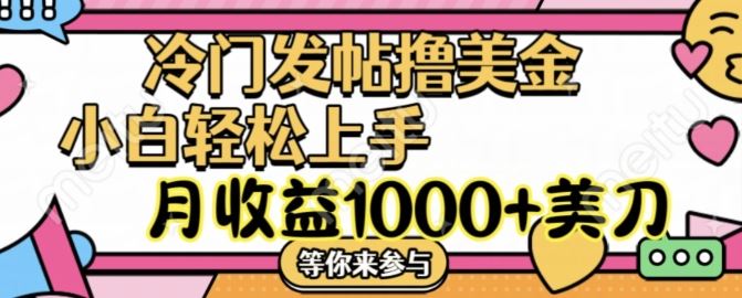 冷门发帖撸美金项目，月收益1000+美金，简单无脑，干就完了【揭秘】-追梦聊项目