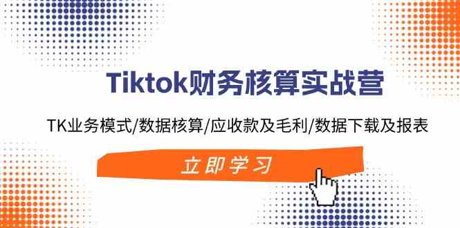 Tiktok财务核算实战营：TK业务模式/数据核算/应收款及毛利/数据下载及报表-追梦聊项目