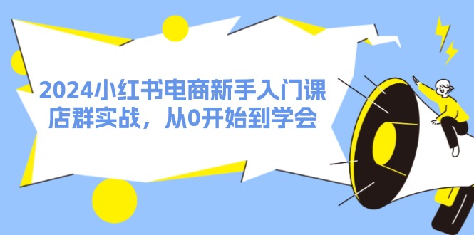 2024小红书电商新手入门课，店群实战，从0开始到学会（31节）-追梦聊项目