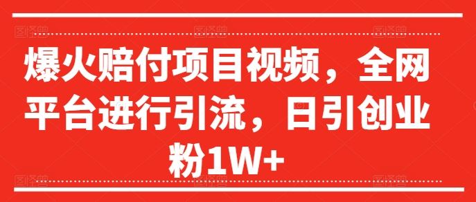 爆火赔付项目视频，全网平台进行引流，日引创业粉1W+【揭秘】-追梦聊项目