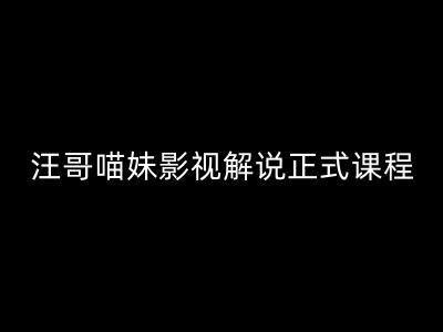 汪哥影视解说正式课程：剪映/PR教学/视解说剪辑5大黄金法则/全流程剪辑7把利器等等-追梦聊项目