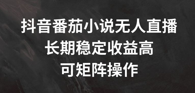 抖音番茄小说无人直播，长期稳定收益高，可矩阵操作【揭秘】-追梦聊项目