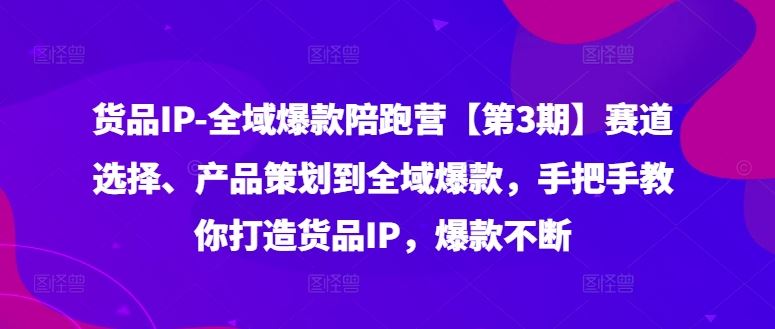 货品IP全域爆款陪跑营【第3期】赛道选择、产品策划到全域爆款，手把手教你打造货品IP，爆款不断-追梦聊项目