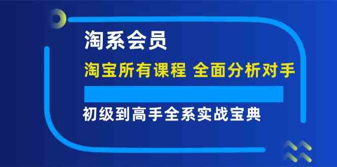淘系会员初级到高手全系实战宝典【淘宝所有课程，全面分析对手】-追梦聊项目