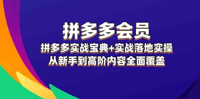 拼多多会员实战宝典+实战落地实操，从新手到高阶内容全面覆盖-追梦聊项目