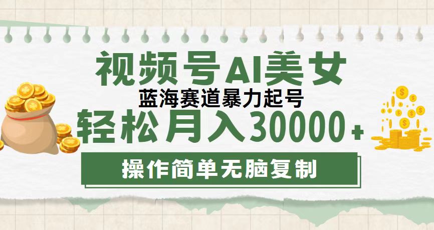 （12087期）视频号AI美女跳舞，轻松月入30000+，蓝海赛道，流量池巨大，起号猛，无…-追梦聊项目