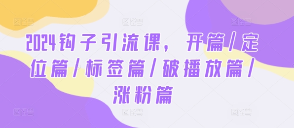 2024钩子引流课，开篇/定位篇/标签篇/破播放篇/涨粉篇-追梦聊项目