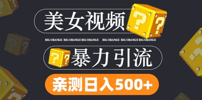 搬运tk美女视频全网分发，日引s粉300+，轻松变现，不限流量不封号-追梦聊项目