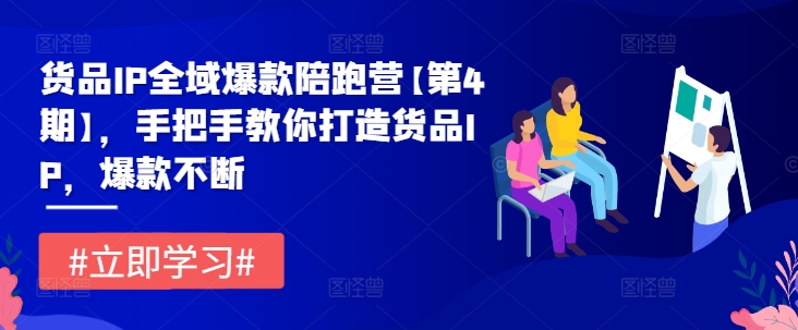 货品IP全域爆款陪跑营【第4期】，手把手教你打造货品IP，爆款不断-追梦聊项目