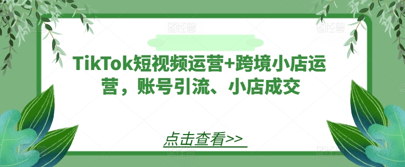TikTok短视频运营+跨境小店运营，账号引流、小店成交-追梦聊项目