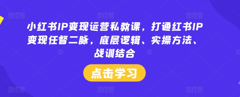 小红书IP变现运营私教课，打通红书IP变现任督二脉，底层逻辑、实操方法、战训结合-追梦聊项目