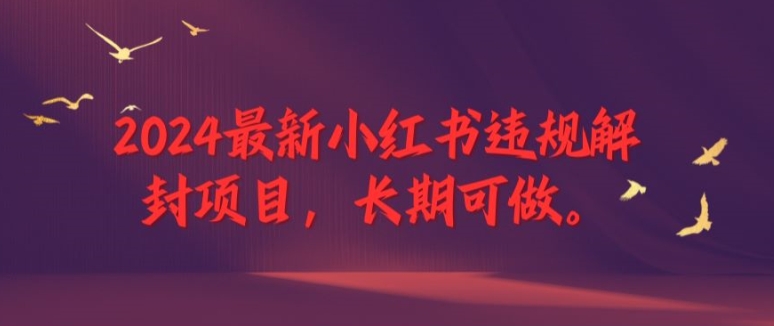 2024最新小红书违规解封项目，长期可做，一个可以做到退休的项目-追梦聊项目