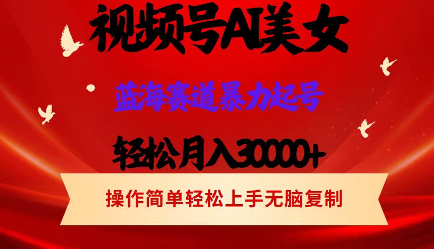 （12178期）视频号AI美女跳舞，轻松月入30000+，蓝海赛道，流量池巨大，起号猛，当…-追梦聊项目