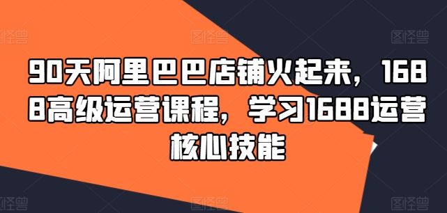 90天阿里巴巴店铺火起来，1688高级运营课程，学习1688运营核心技能-追梦聊项目