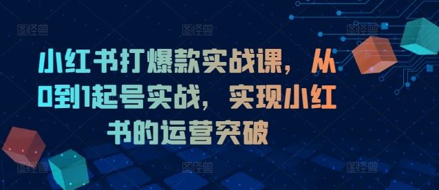 小红书打爆款实战课，从0到1起号实战，实现小红书的运营突破-追梦聊项目