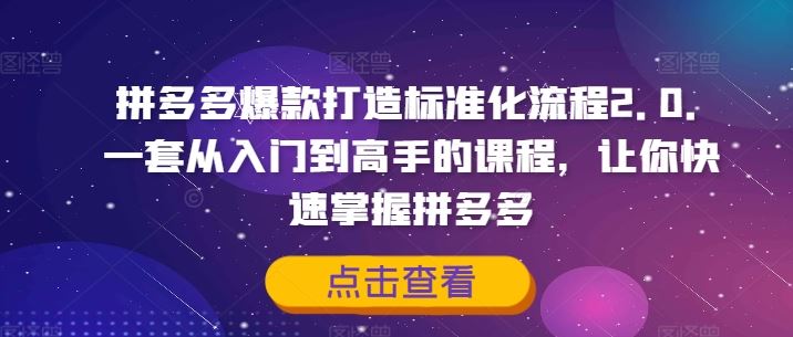 拼多多爆款打造标准化流程2.0，一套从入门到高手的课程，让你快速掌握拼多多-追梦聊项目