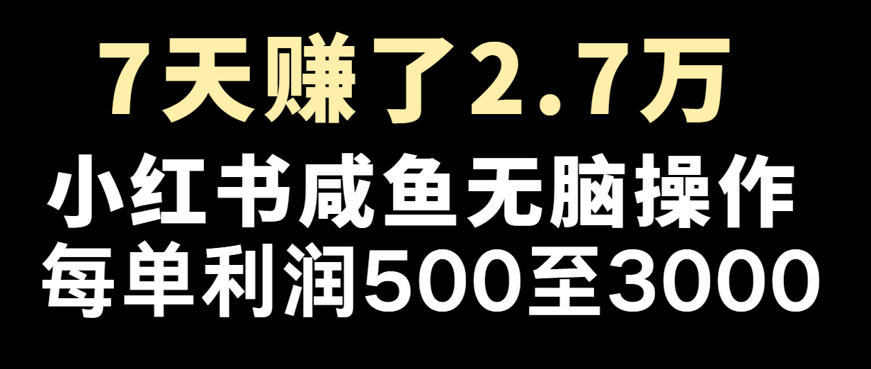 七天赚了2.7万！每单利润最少500+，轻松月入5万+小白有手就行-追梦聊项目