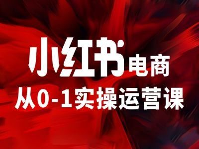 小红书电商从0-1实操运营课，让你从小白到精英-追梦聊项目