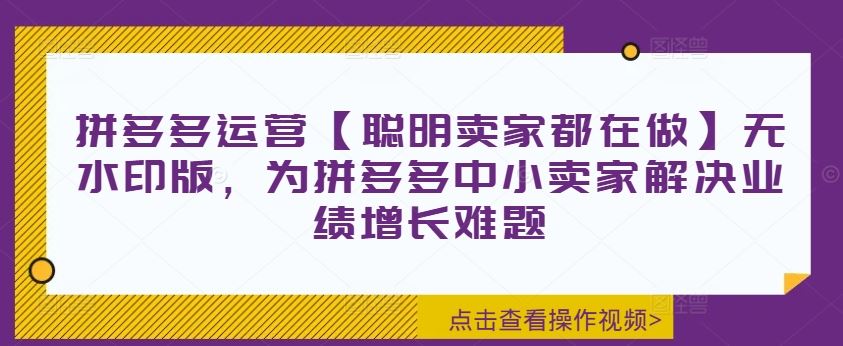 拼多多运营【聪明卖家都在做】无水印版，为拼多多中小卖家解决业绩增长难题-追梦聊项目