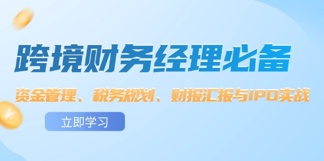 （12323期）跨境 财务经理必备：资金管理、税务规划、财报汇报与IPO实战-追梦聊项目