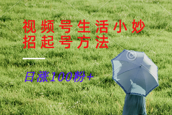 视频号生活小妙招分享赛道， 起号涨粉新方法，日涨100粉-追梦聊项目