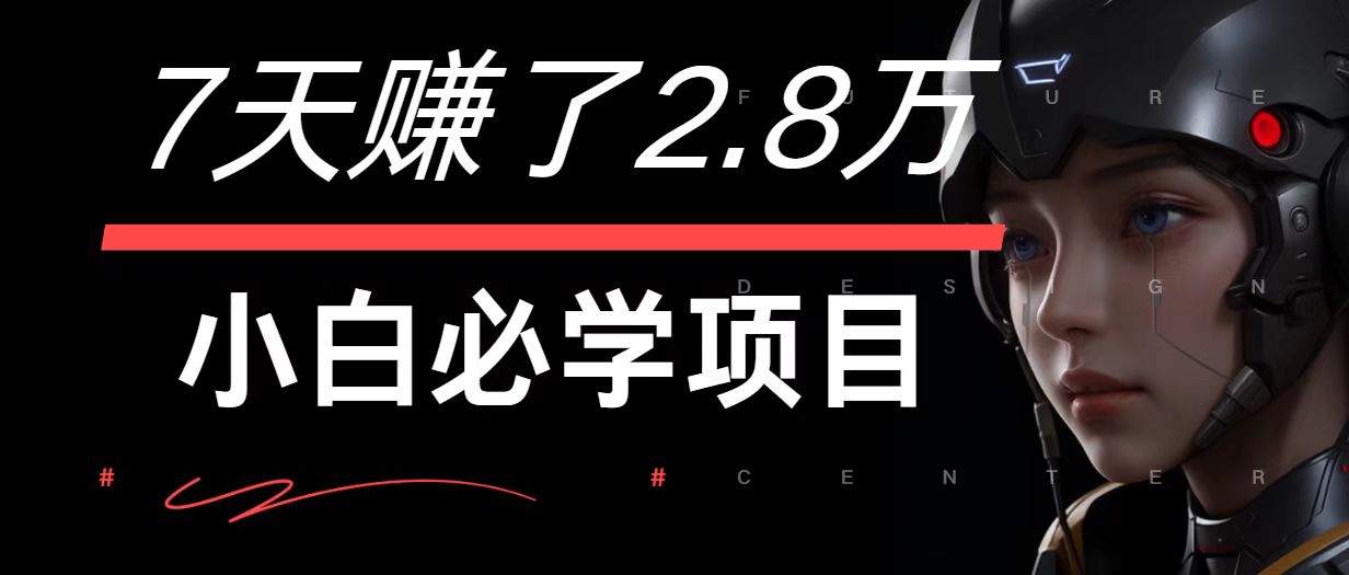 7天赚了2.8万！每单利润最少500+，轻松月入7万+小白有手就行-追梦聊项目