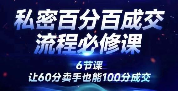 私密百分百成交流程线上训练营，绝对成交，让60分卖手也能100分成交-追梦聊项目