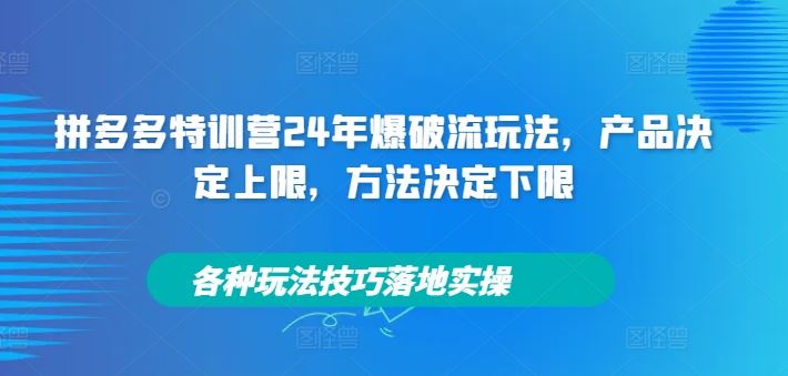 拼多多特训营24年爆破流玩法，产品决定上限，方法决定下限，各种玩法技巧落地实操-追梦聊项目