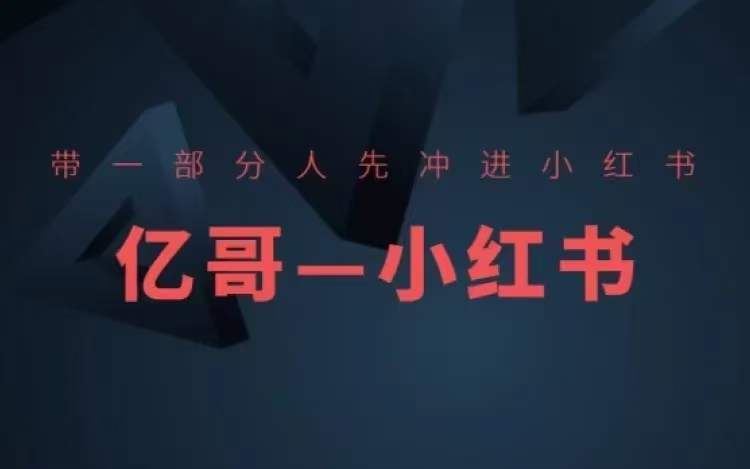 ​​带一部分人先冲进小红书，小红书开店、选品、爆款裂变-追梦聊项目