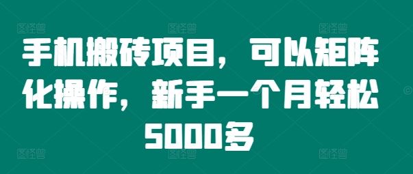 手机搬砖项目，可以矩阵化操作，新手一个月轻松5000多-追梦聊项目