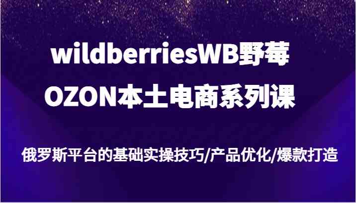 wildberriesWB野莓/OZON本土电商系列课，俄罗斯平台的基础实操技巧/产品优化/爆款打造-追梦聊项目