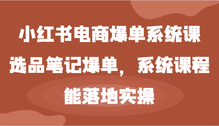 小红书电商爆单系统课-选品笔记爆单，系统课程，能落地实操-追梦聊项目