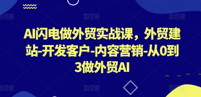 AI闪电做外贸实战课，​外贸建站-开发客户-内容营销-从0到3做外贸AI(更新)-追梦聊项目