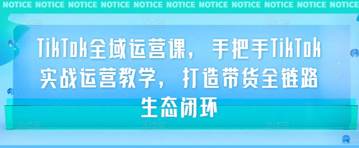 TikTok全域运营课，手把手TikTok实战运营教学，打造带货全链路生态闭环-追梦聊项目