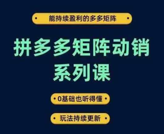 拼多多矩阵动销系列课，能持续盈利的多多矩阵，0基础也听得懂，玩法持续更新-追梦聊项目