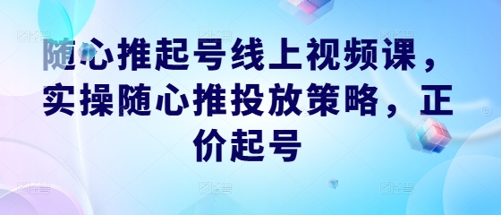 随心推起号线上视频课，实操随心推投放策略，正价起号-追梦聊项目