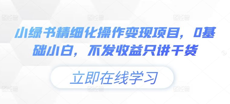 小绿书精细化操作变现项目，0基础小白，不发收益只讲干货-追梦聊项目