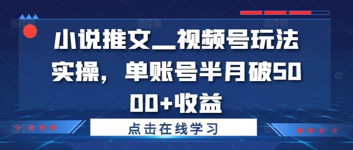 小说推文—视频号玩法实操，单账号半月破5000+收益-追梦聊项目