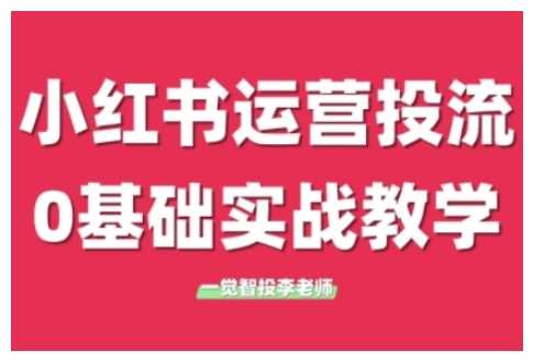 小红书运营投流，小红书广告投放从0到1的实战课，学完即可开始投放-追梦聊项目