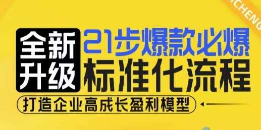 21步爆款必爆标准化流程，全新升级，打造企业高成长盈利模型-追梦聊项目