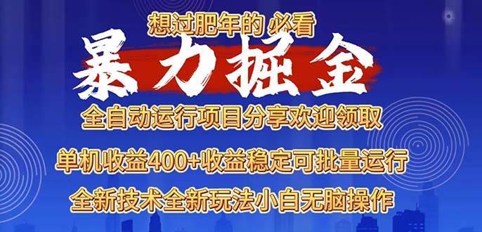 （13675期）2025暴力掘金项目，想过肥年必看！-追梦聊项目