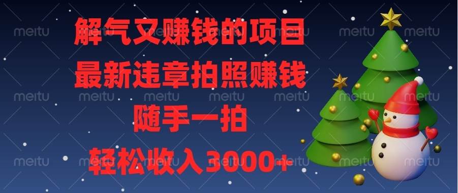 （13686期）解气又赚钱的项目，最新违章拍照赚钱，随手一拍，轻松收入3000+-追梦聊项目