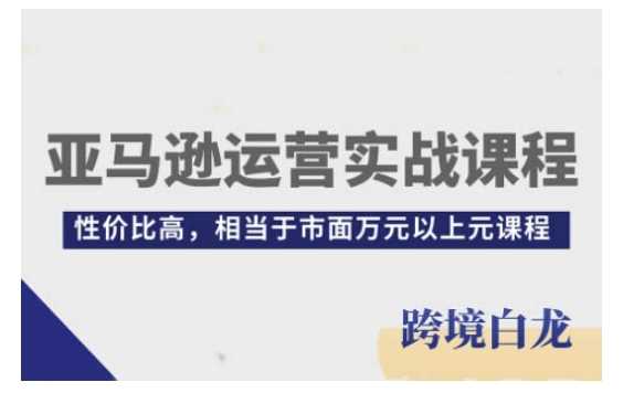 亚马逊运营实战课程，亚马逊从入门到精通，性价比高，相当于市面万元以上元课程-追梦聊项目
