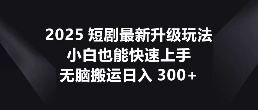 2025短剧最新升级玩法，小白也能快速上手，无脑搬运日入300+-追梦聊项目